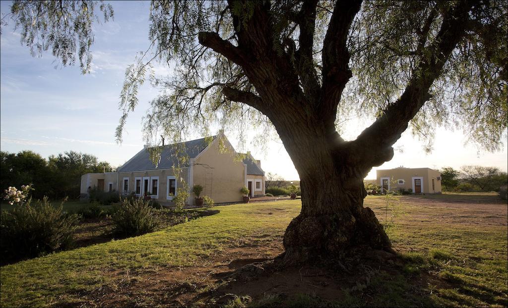 Rietfontein Ostrich Palace Vleirivier Zewnętrze zdjęcie